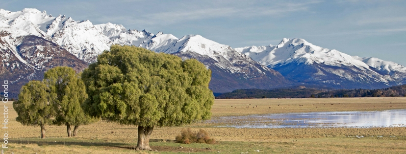 Laguna Terraplen PH GONDA_0.jpg