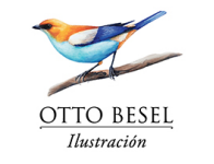 Otto besel  ilustración científica  y diseño  gráfico