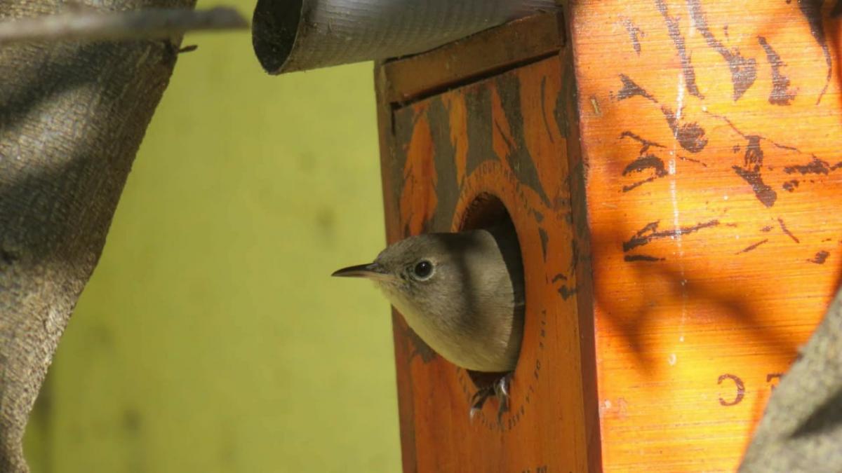 WhatsApp Image 2020-01-17 at 12.52.59 (1).jpeg