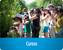 cursos.png