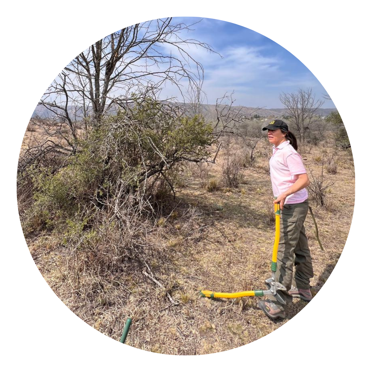 Daniela María Tamburini