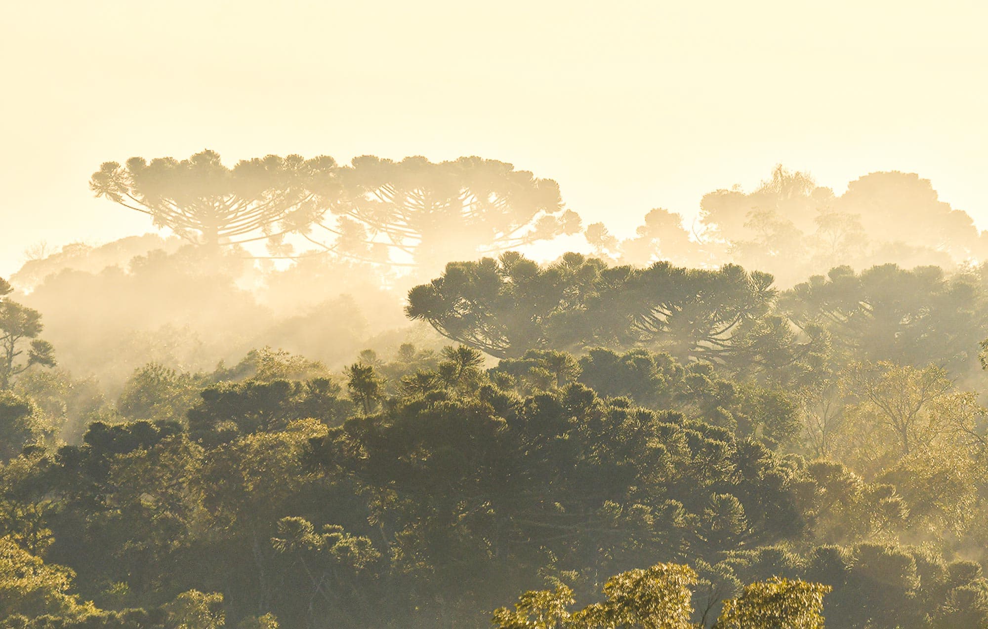 Créditos: Sergio Moya