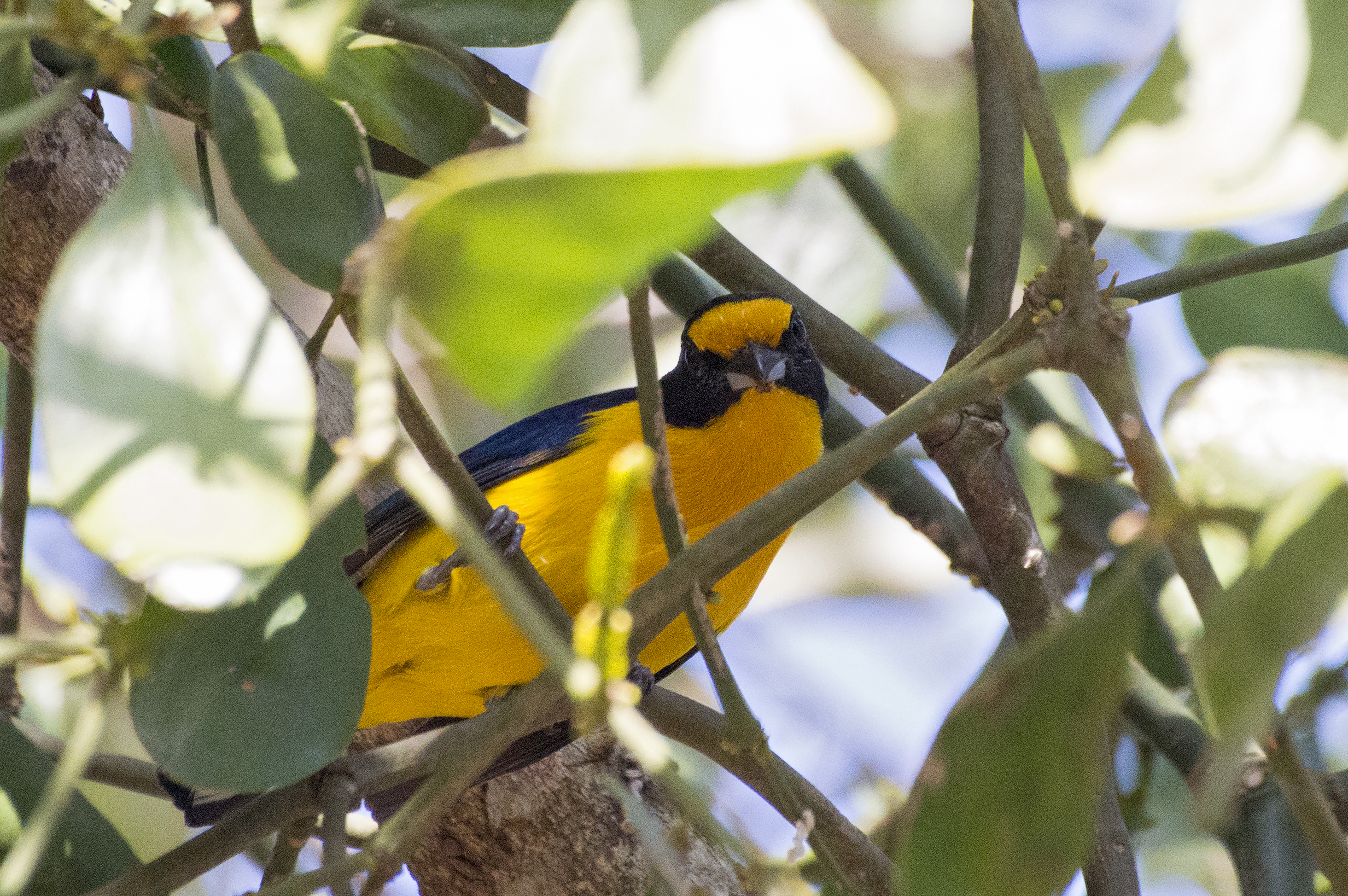 Foto: Juan José Bonanno