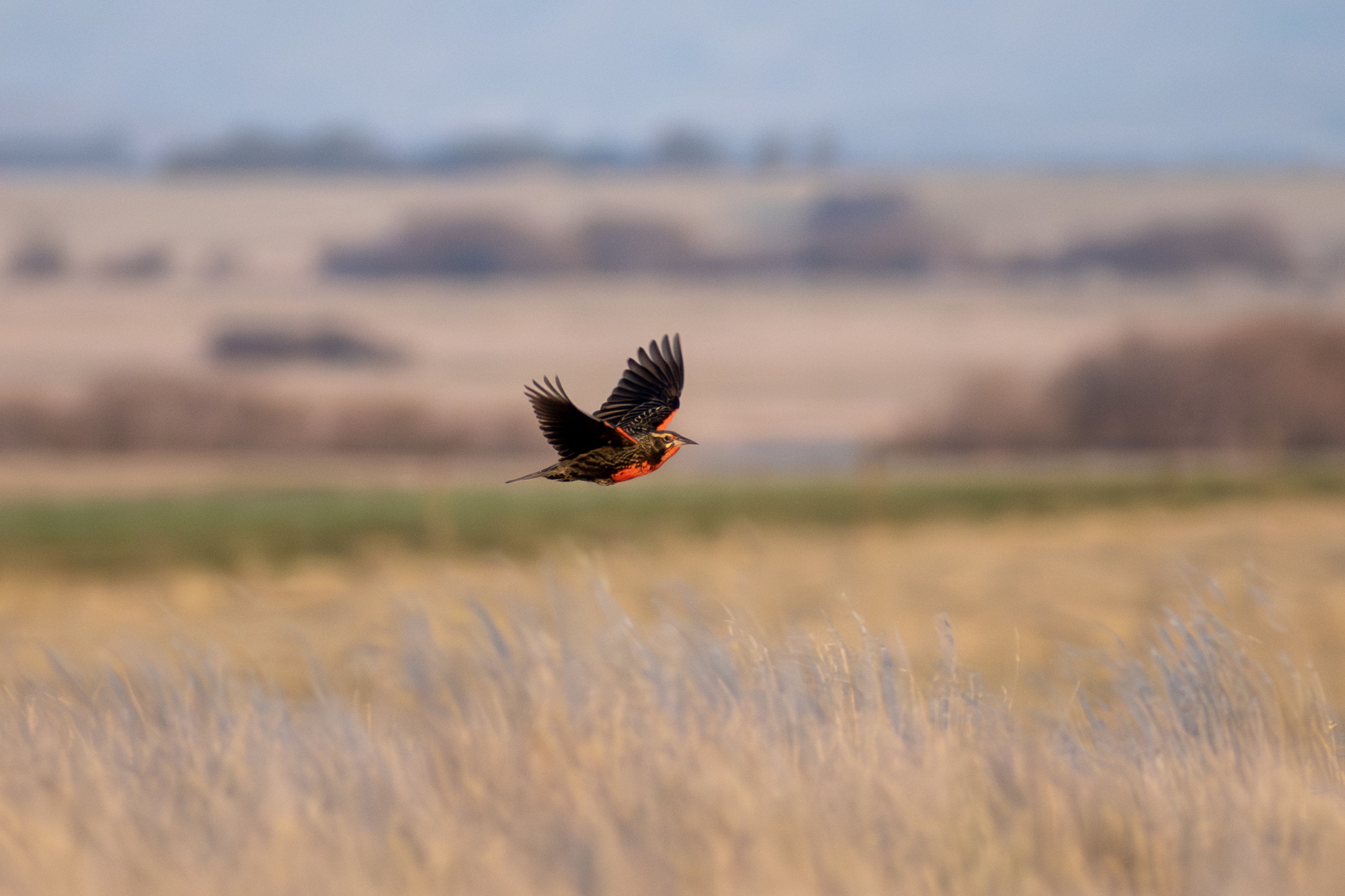 Foto: Juan José Bonanno