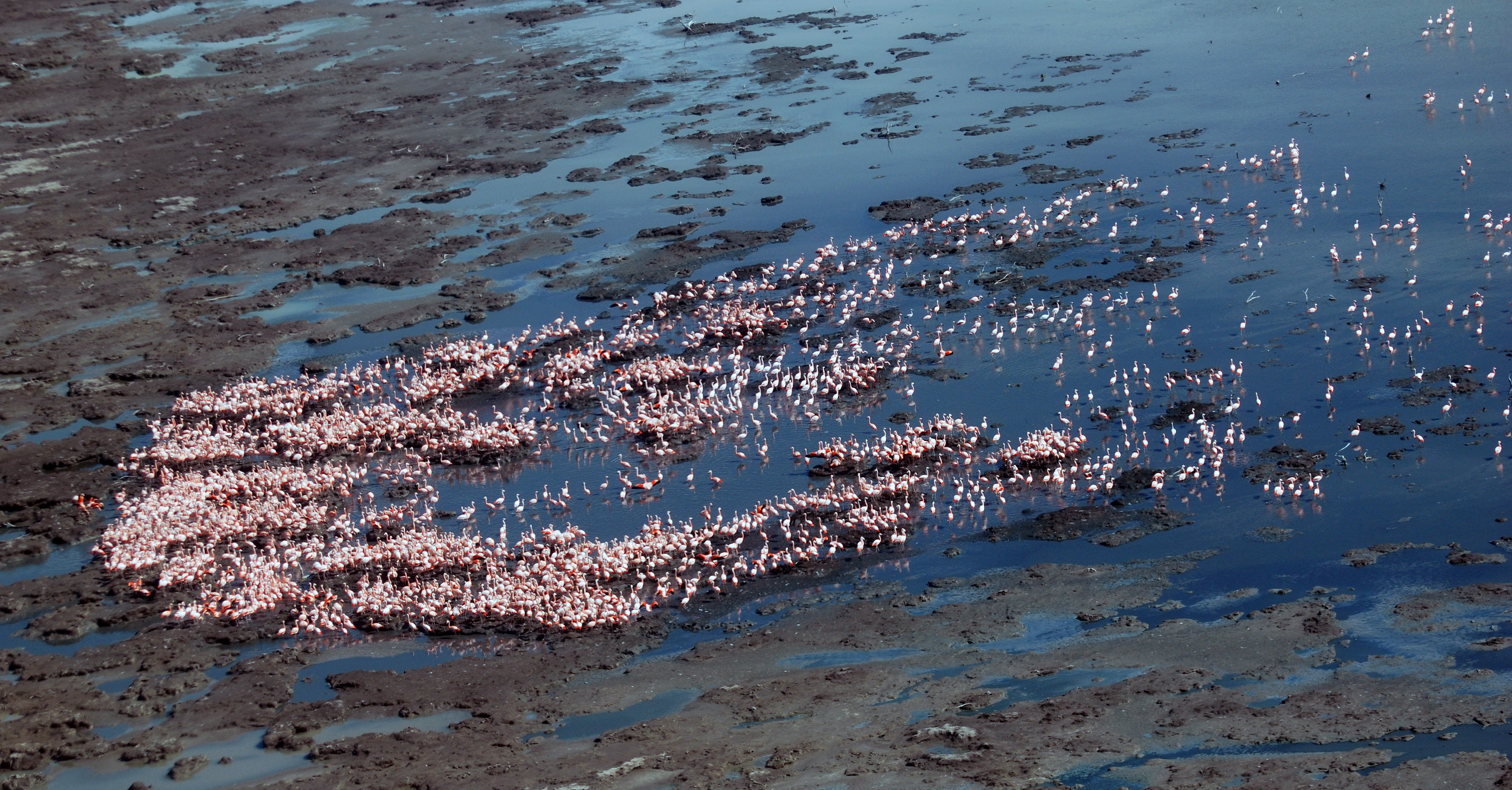 Fotografía: Gustavo Bruno