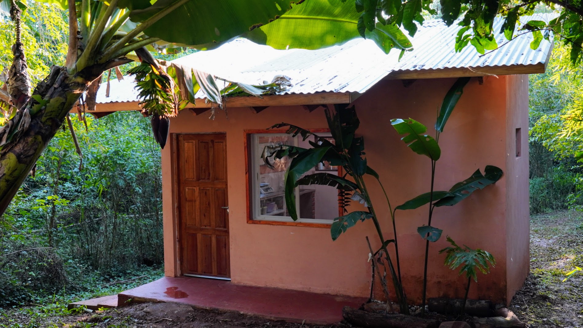 Hospital veterinario