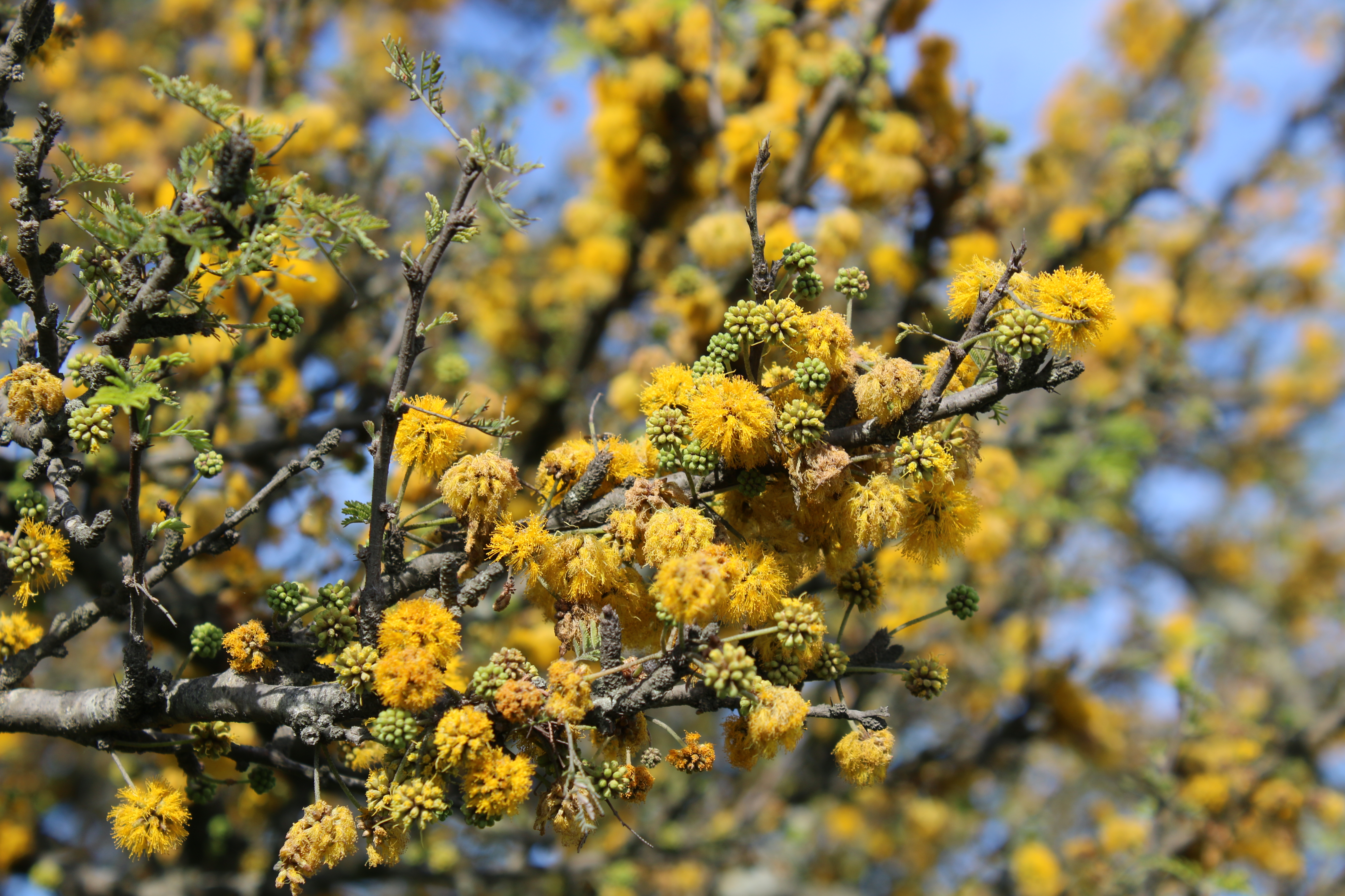 Foto: Damian Fernández