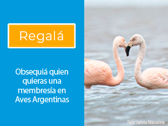 Regala