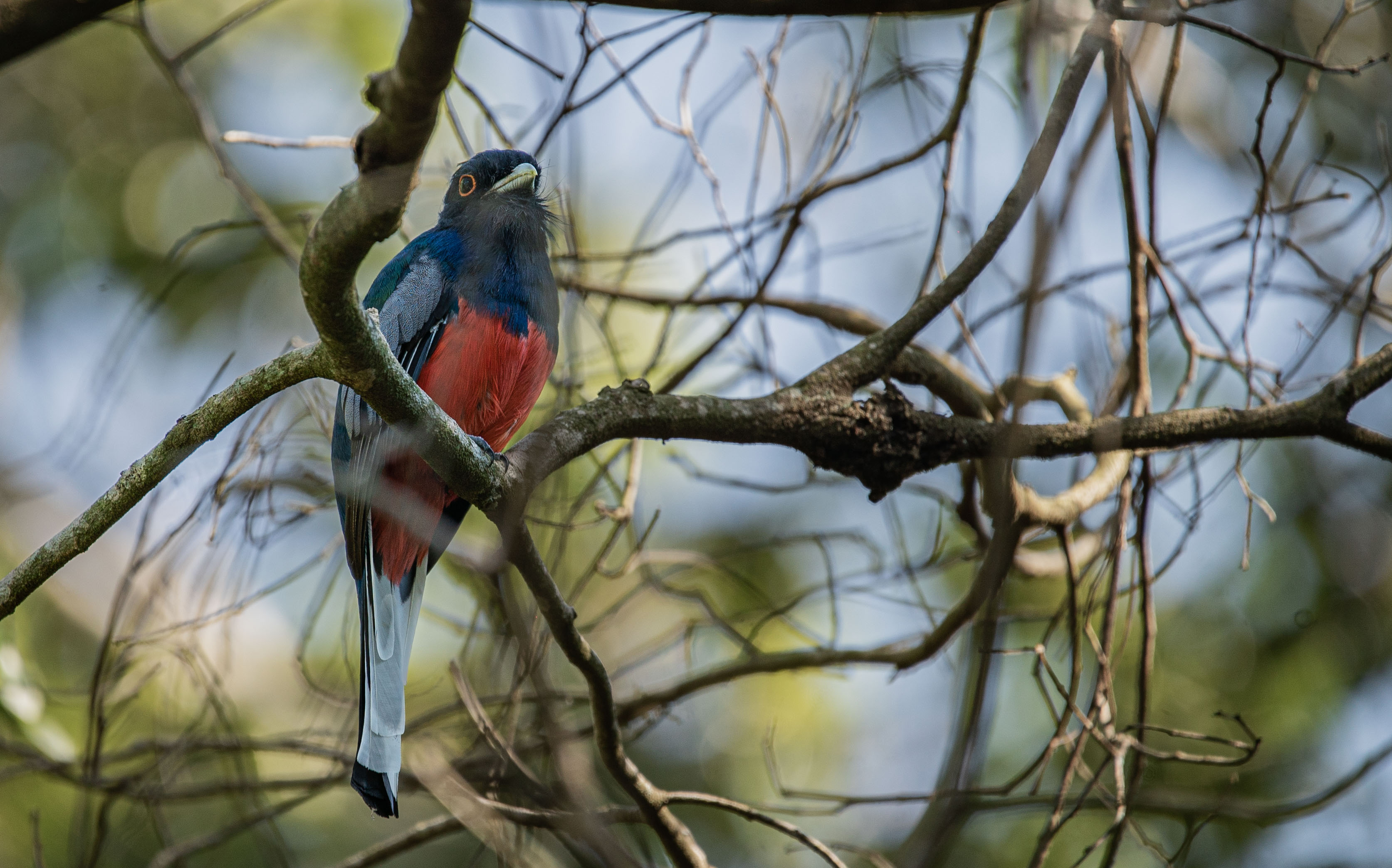 Fotografía: Julieta Maccarino