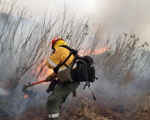 Imagen: NA - Página 12