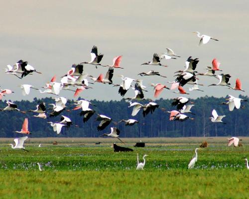 Estancia La Rosita. Esquina, Corrientes. Foto: Jorge Pruneda.