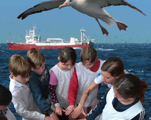 ¡Nuevo libro del Programa Marino de Aves Argentinas!