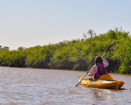 Boletín Ambiental Ansenuza