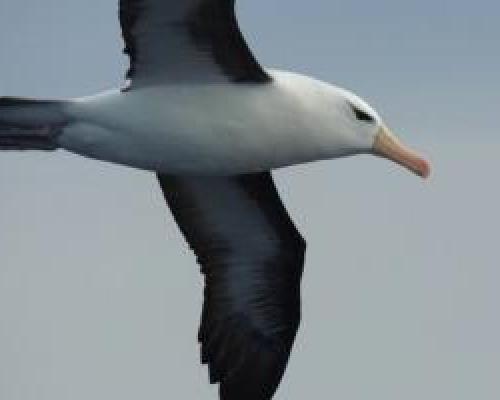 Concurso de Dibujo y Pintura