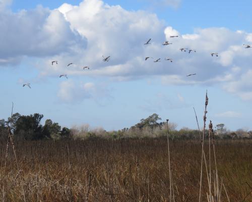 Crédito: Maria del Castillo