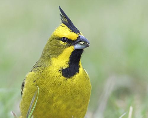 Se firmó un acta de intención para la creación de un nuevo Parque Nacional en Entre Ríos