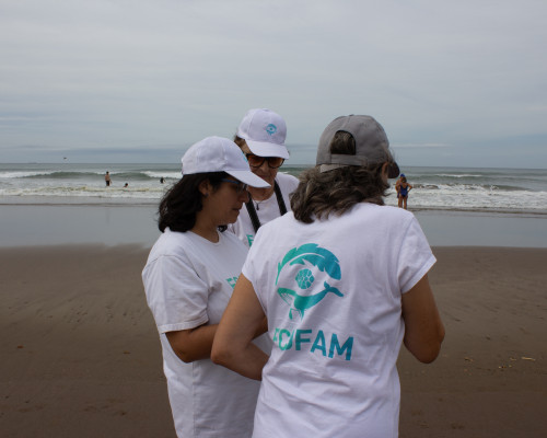 Voluntarios de ECOFAM