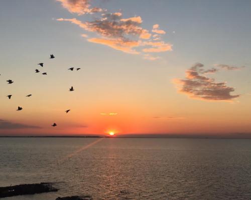 Parque Nacional Ansenuza