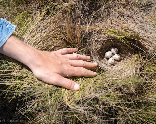 Créditos: Nicolás Pérez