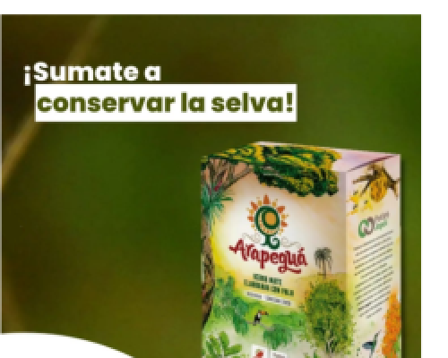 yerba mate 