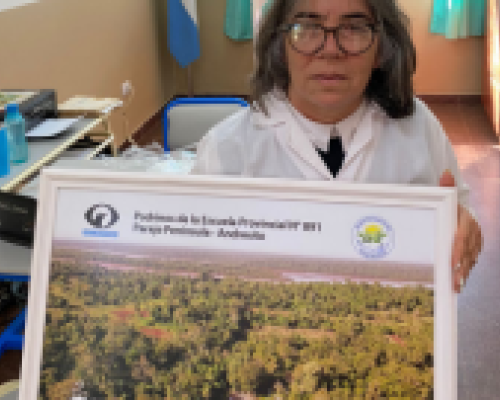 Inauguramos un vivero