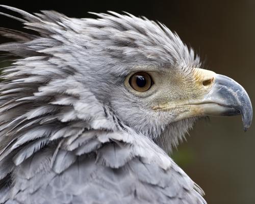 Fotografía: Pablo Rodríguez Merkel