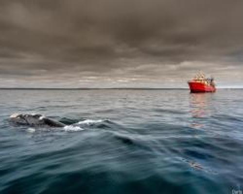 Foto: Darío Podestá