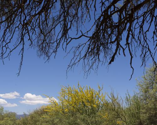 Fotos: Pablo Rodriguez Merkel