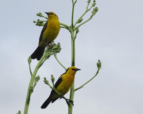 Fotografía: Florencia Pucheta