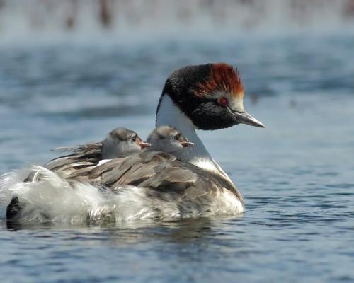 Fotografía: Pablo Hernández