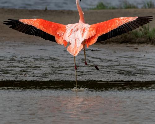  Parque Nacional Ansenuza