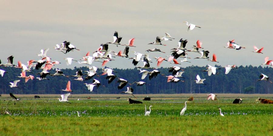 Estancia La Rosita. Esquina, Corrientes. Foto: Jorge Pruneda.