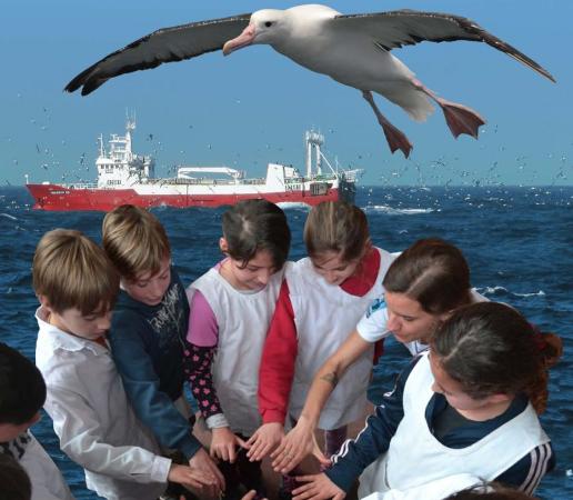 ¡Nuevo libro del Programa Marino de Aves Argentinas!