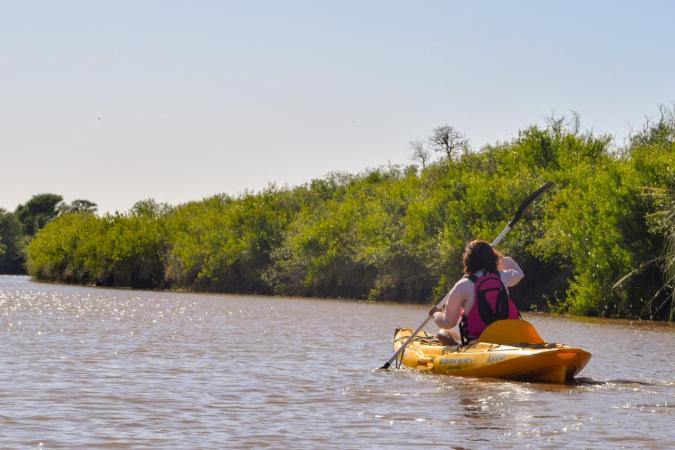 Boletín Ambiental Ansenuza