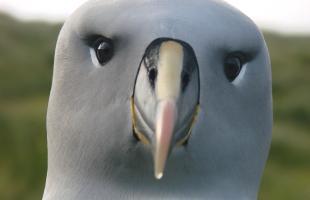 <p>Foto: Cristian Suazo</p>