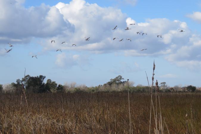 Crédito: Maria del Castillo
