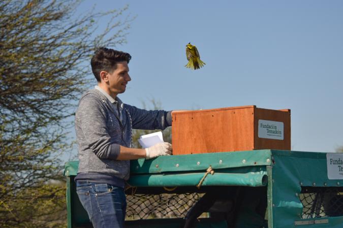 Alianza Cardenal Amarillo