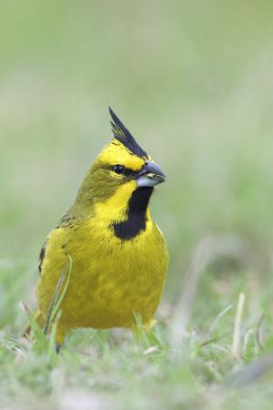 Se firmó un acta de intención para la creación de un nuevo Parque Nacional en Entre Ríos