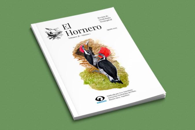 Revista El Hornero