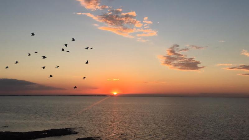 Parque Nacional Ansenuza