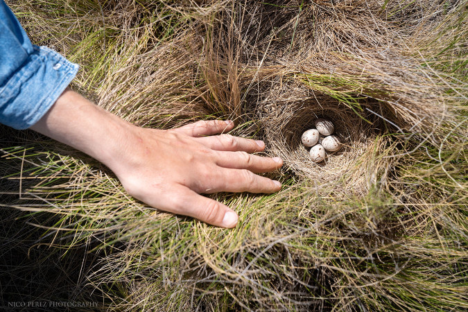 Créditos: Nicolás Pérez