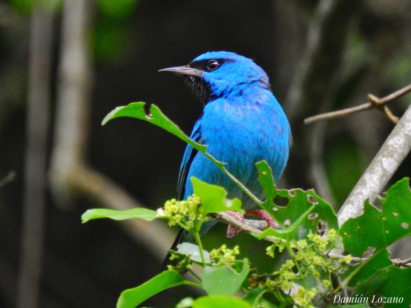 Foto: Damián Lozano