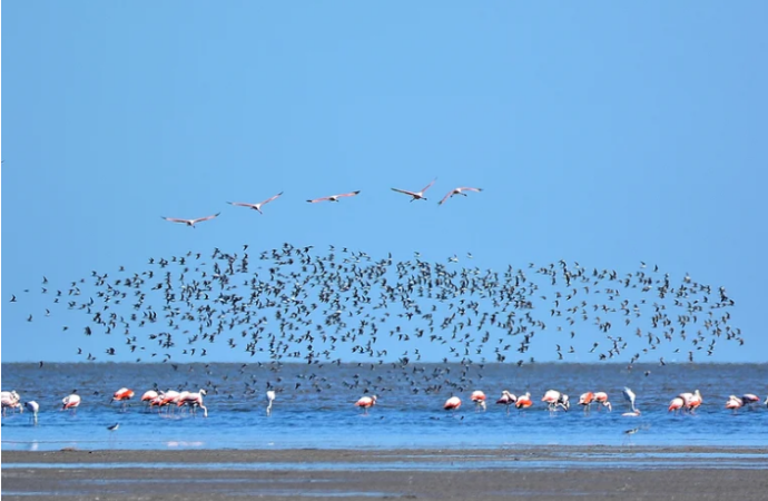 Leonardo DiCaprio apoyó la creación de un nuevo parque nacional en Argentina