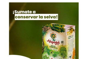 yerba mate 