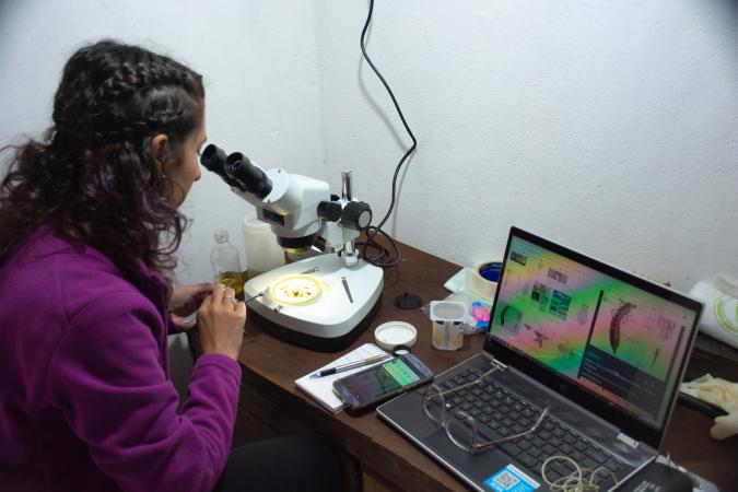 Vuelven las Becas Aves Argentinas!