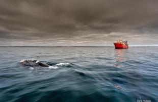 Foto: Darío Podestá