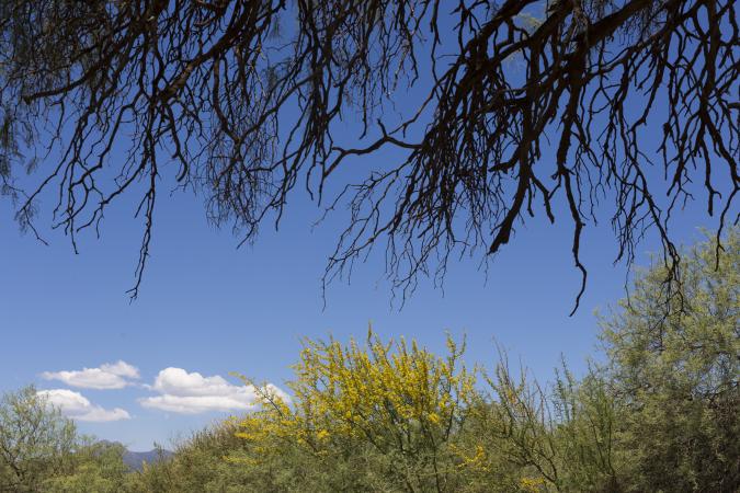 Fotos: Pablo Rodriguez Merkel