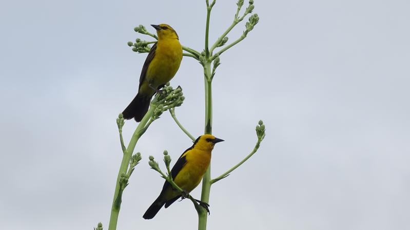 Fotografía: Florencia Pucheta