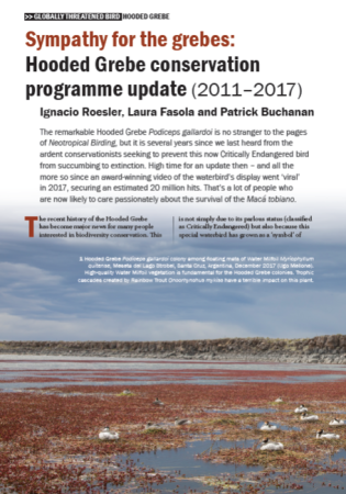 Historia de la conservación del macá tobiano