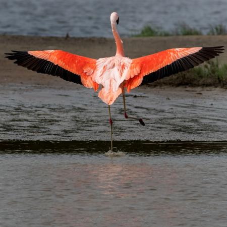  Parque Nacional Ansenuza